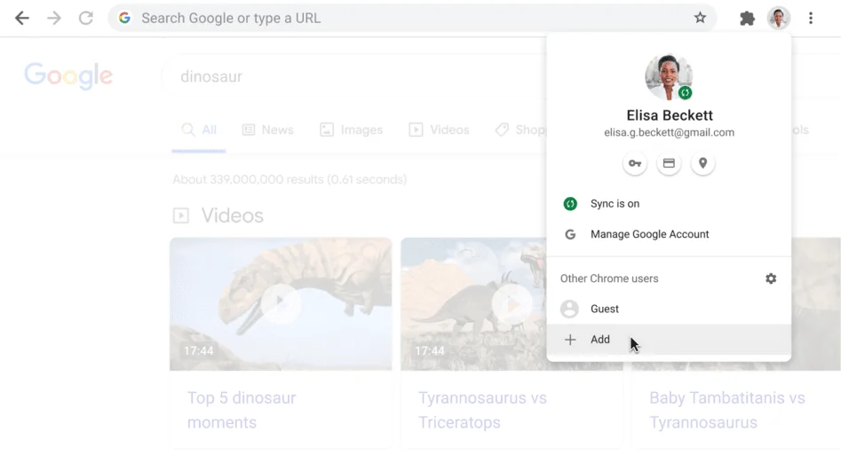 Chrome Browser window with open Profile dialogue box.